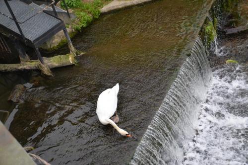 Тур 1RD ч.3 1057.JPG