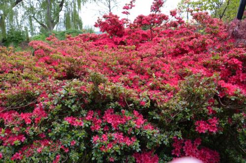 Тур 1RD ч.3 1114.JPG