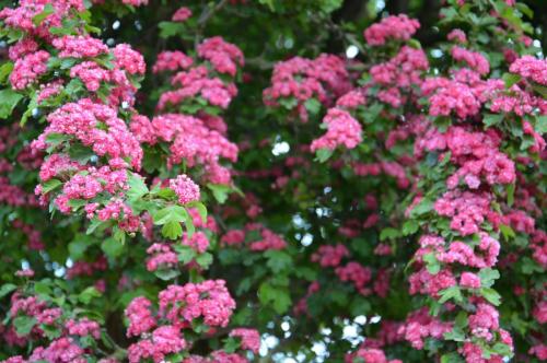 Тур 1RD ч.3 1656.JPG