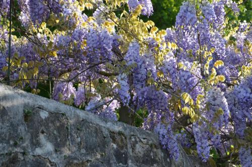 Тур 1RD ч.3 393.JPG