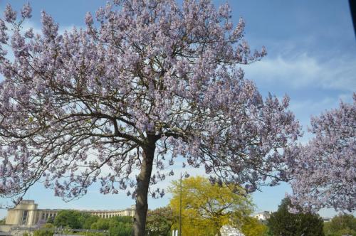 Тур 1RD ч.3 631.JPG