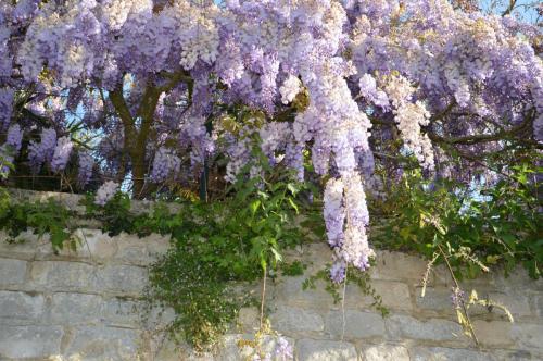 Тур 1RD ч.3 398.JPG