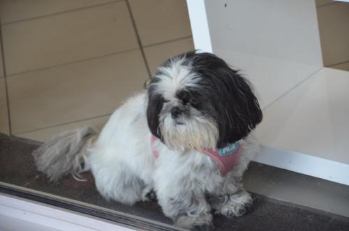 Тур 1RD ч.3 1661.JPG