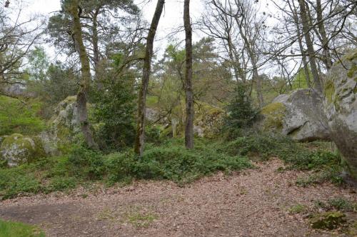 Тур 1RD ч.3 1077.JPG