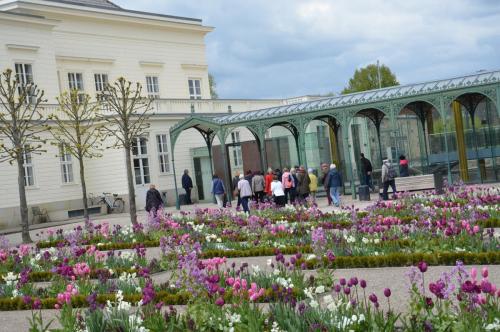 Тур 1RD ч.2 484.JPG