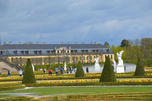 Тур 1RD ч.2 450.JPG