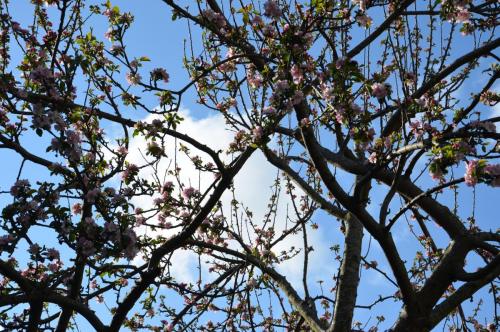 Тур 1RD ч.3 1243.JPG