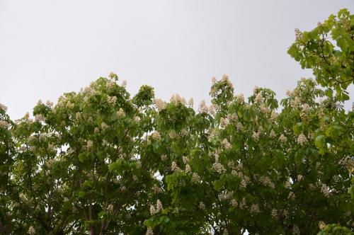 Тур 1RD ч.3 1699.JPG