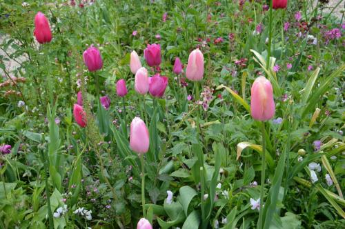 Тур 1RD ч.3 1156.JPG