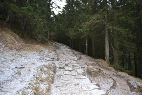 Польша 2016 316.JPG