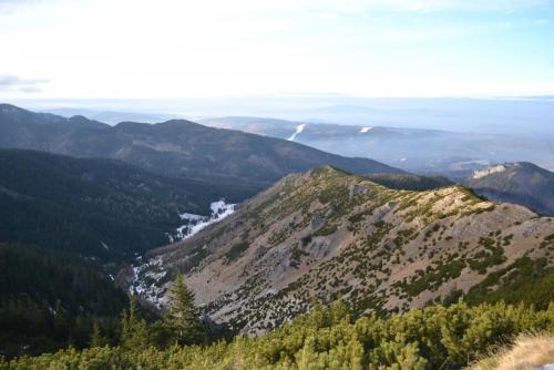 Польша 2016 493.JPG