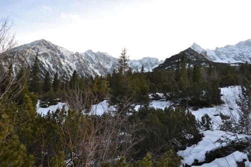 Польша 2016 450.JPG