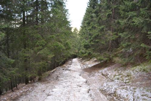 Польша 2016 325.JPG