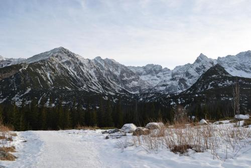 Польша 2016 477.JPG