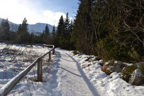 Польша 2016 445.JPG