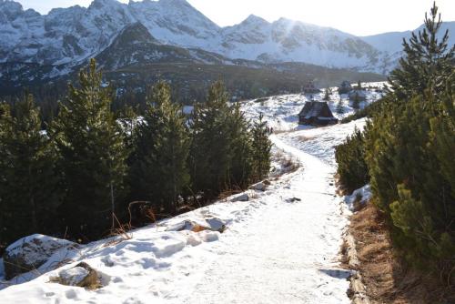 Польша 2016 440.JPG