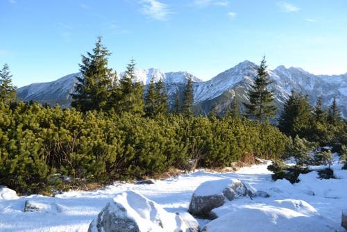 Польша 2016 429.JPG