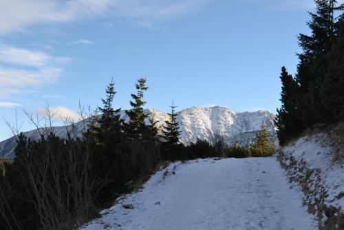 Польша 2016 410.JPG