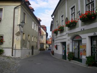 P1011030.JPG