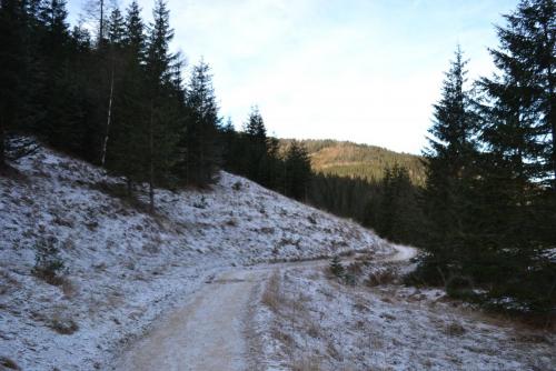 Польша 2016 286.JPG