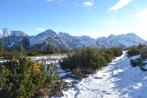 Польша 2016 425.JPG