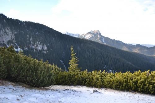 Польша 2016 375.JPG