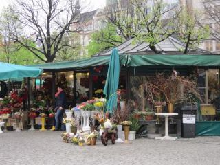 IMG_4992.JPG