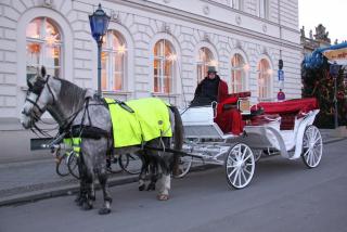 IMG_5189.JPG
