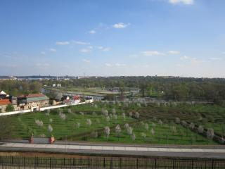 IMG_4692.JPG