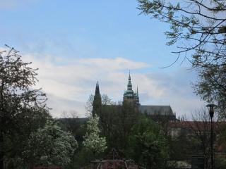 IMG_3490.JPG