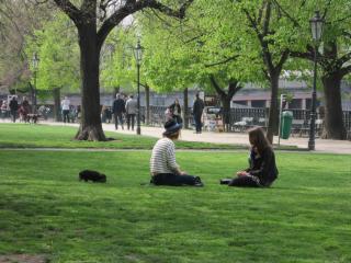 IMG_4855.JPG