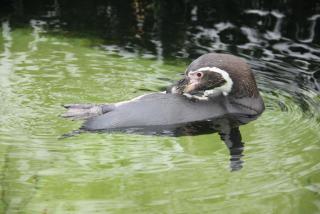 IMG_5573.JPG