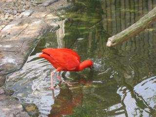 IMG_4447.JPG