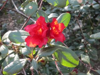 IMG_4667.JPG