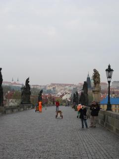 IMG_4712.JPG