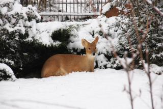 IMG_5435.JPG