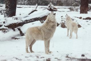 IMG_5578.JPG