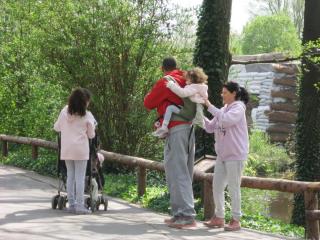IMG_4476.JPG