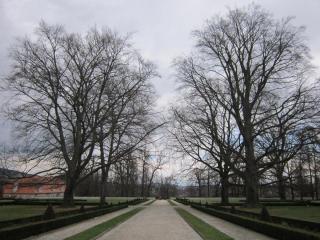 IMG_4093.JPG