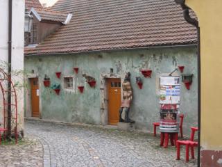 IMG_4164.JPG