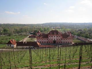 IMG_4689.JPG