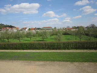 IMG_4604.JPG