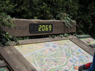 IMG_4594.JPG