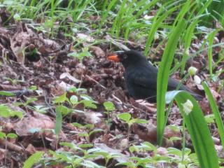 IMG_3510.JPG