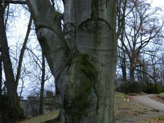 20130103181628.JPG
