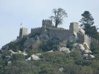 20110930183546.JPG