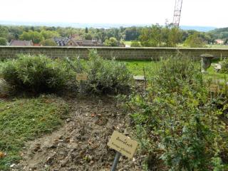 20110922145324.JPG