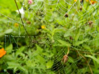 20110923132934.JPG