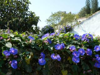 20111001150856.JPG