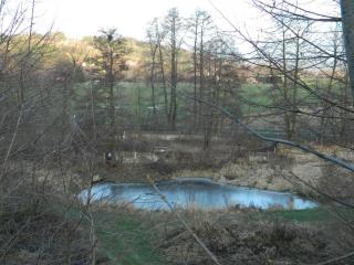20121231120928.JPG
